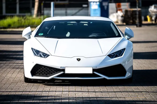 Casino Dogs Fortune Aip Android/iOS